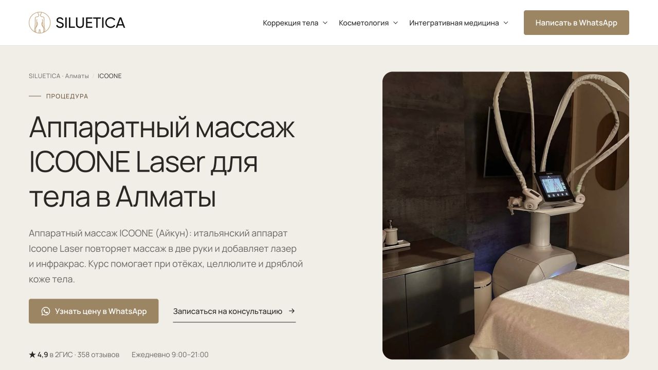 Siluetica: страница процедуры icoone на компьютере